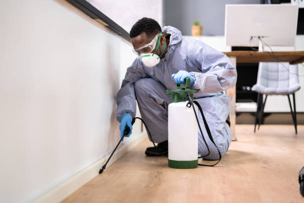 Best Pest Prevention Services  in Saylorville, IA